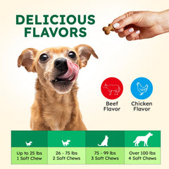 OKKÖBI Anal Gland Chews pumpkin-seed-powder ingredient highlighting natural fiber support