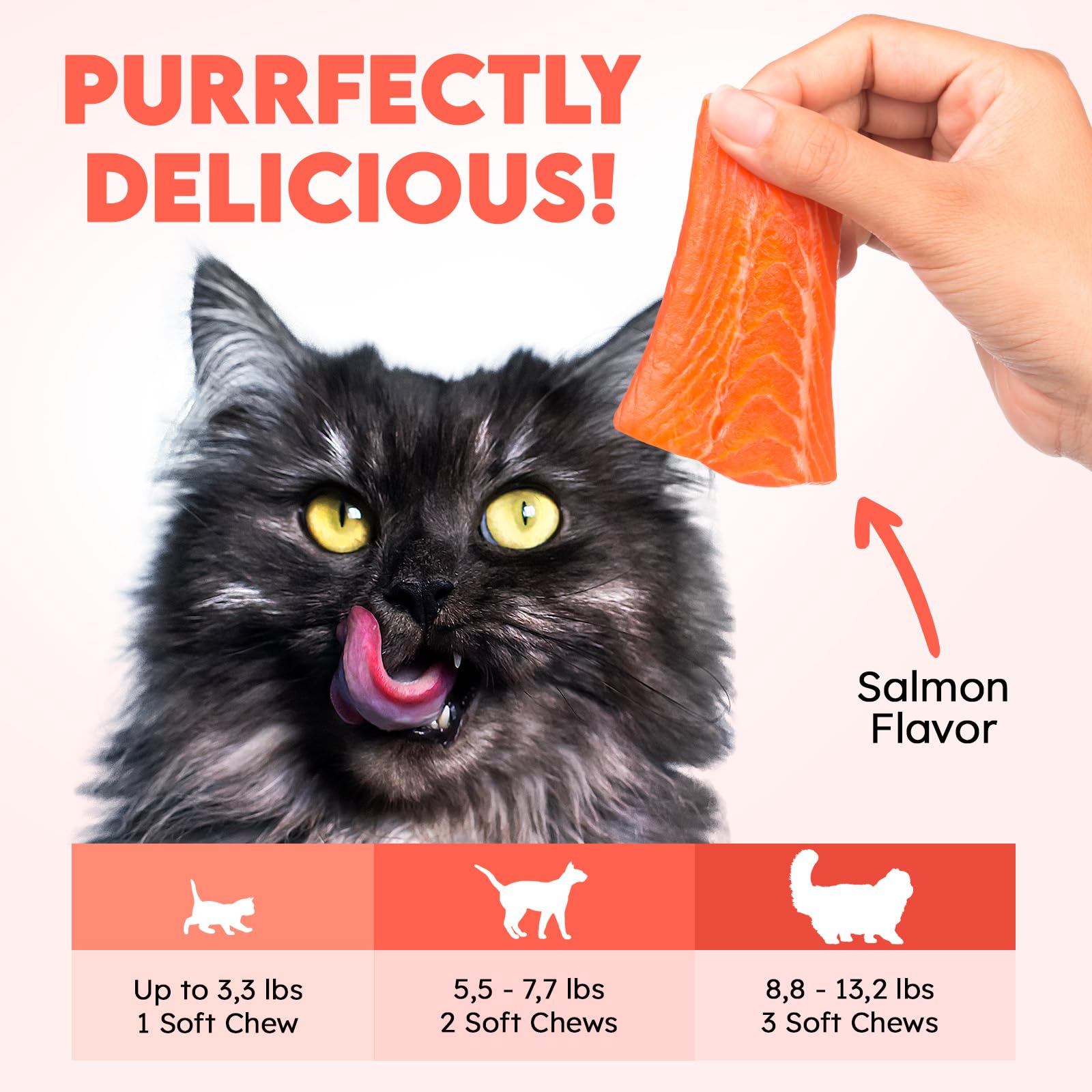 OKKÖBI cat enjoying chew-friendly treatment supports consistent daily bladder health.