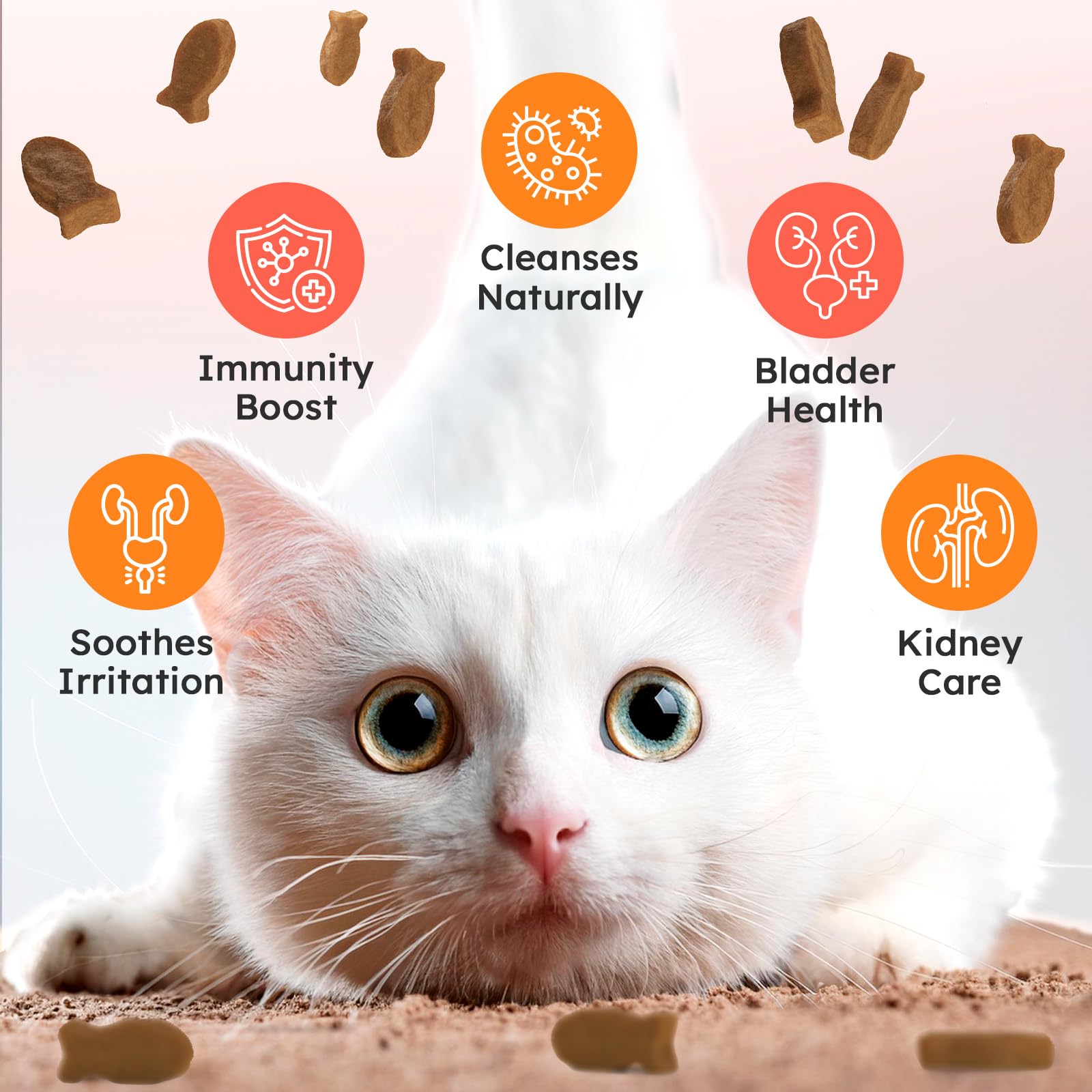 OKKÖBI Bladder Chews display cranberry and D-Mannose for steady urinary balance.
