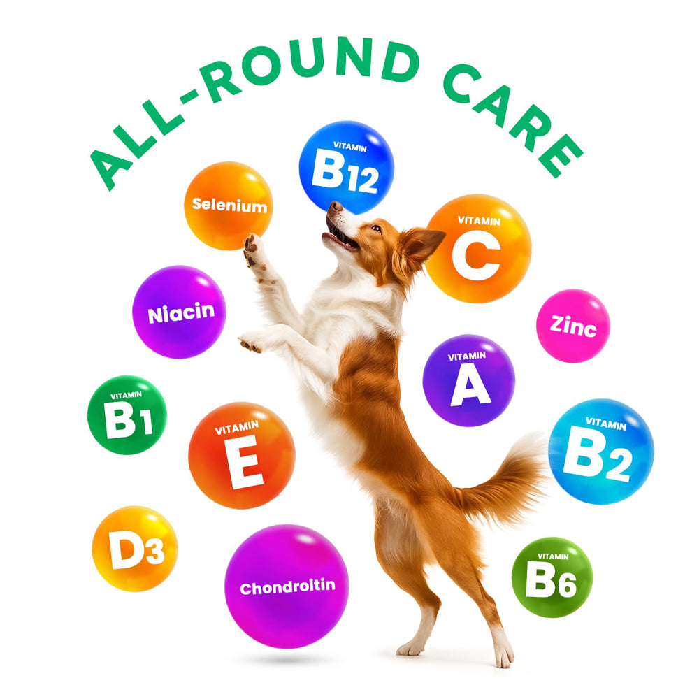 OKKÖBI chicken-flavor dog multivitamin chews loved by dogs and easy daily health boost.