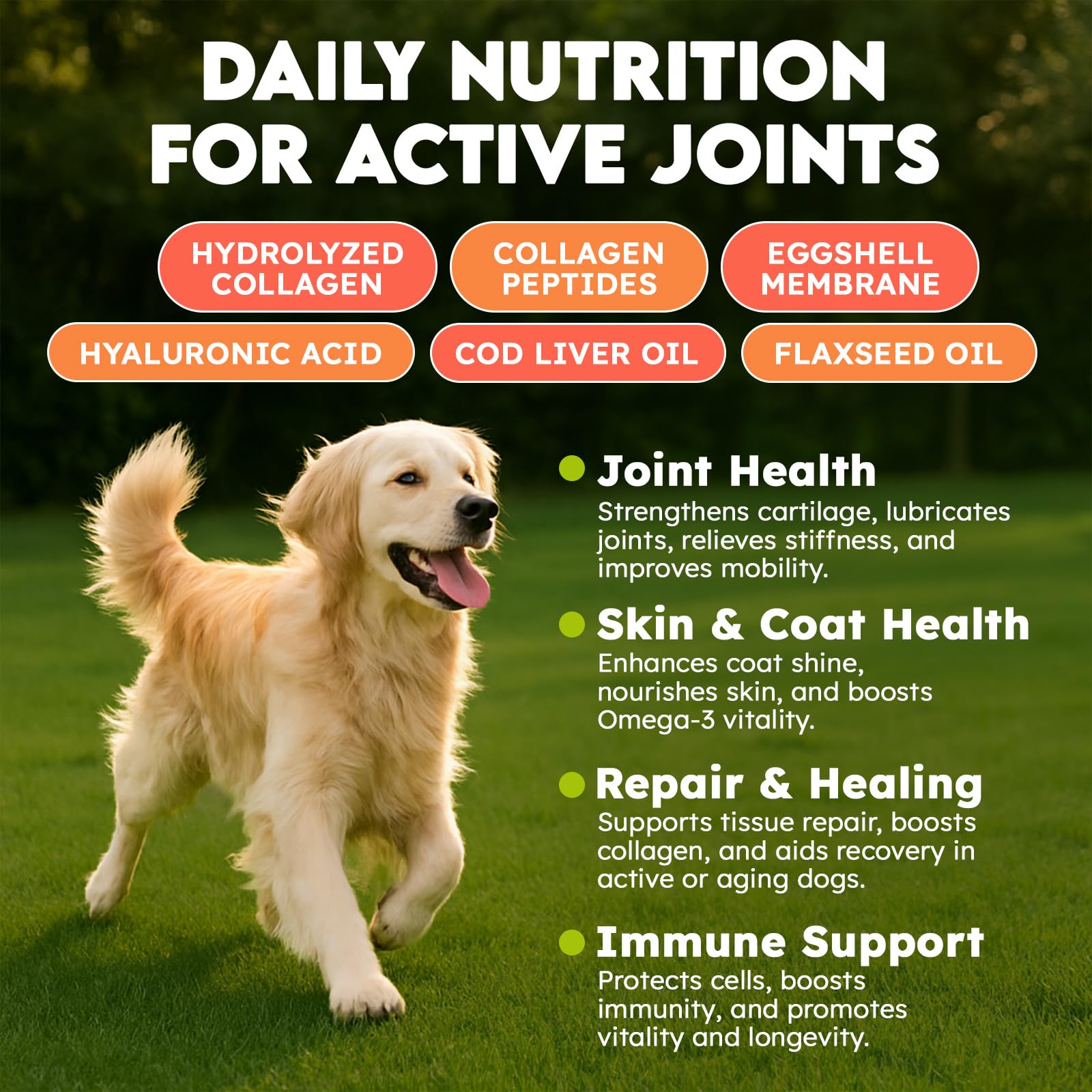 OKKÖBI Collagen for Dogs chews close-up shows tasty texture for easy administration