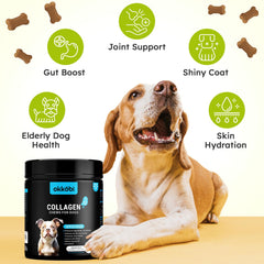 OKKÖBI Collagen for Dogs hip and joint support in action