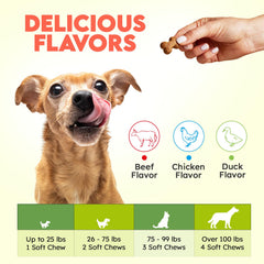 OKKÖBI Collagen for Dogs promotes healthy skin and a shiny coat