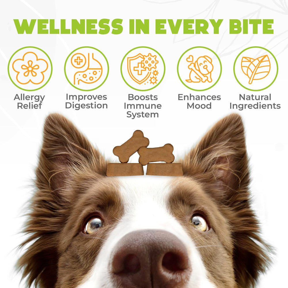 OKKÖBI dog allergy chews beef treats in bowl, tasty comfort for dogs