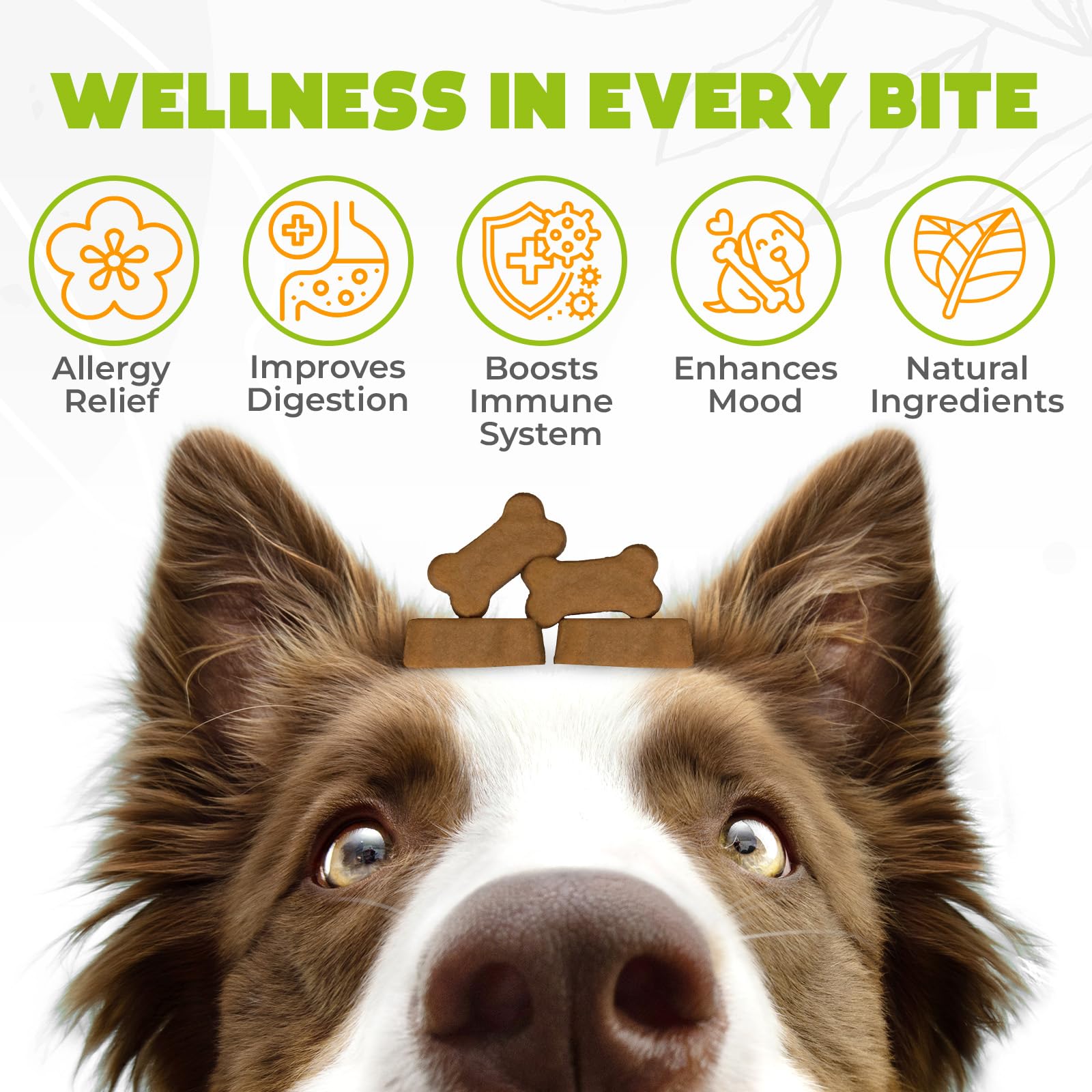 OKKÖBI dog allergy chews serving dish showing easy-dose portions