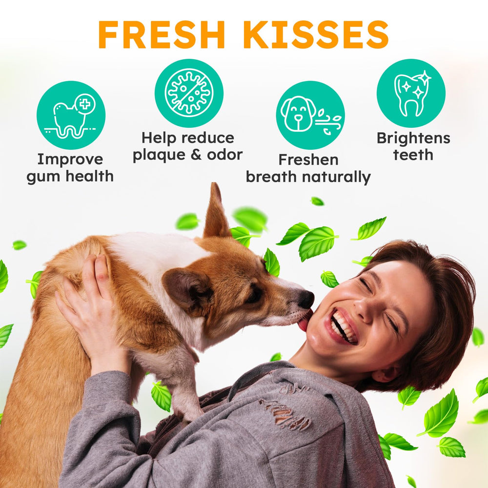 OKKÖBI dog breath freshness mint close-up showing minty breath benefits.