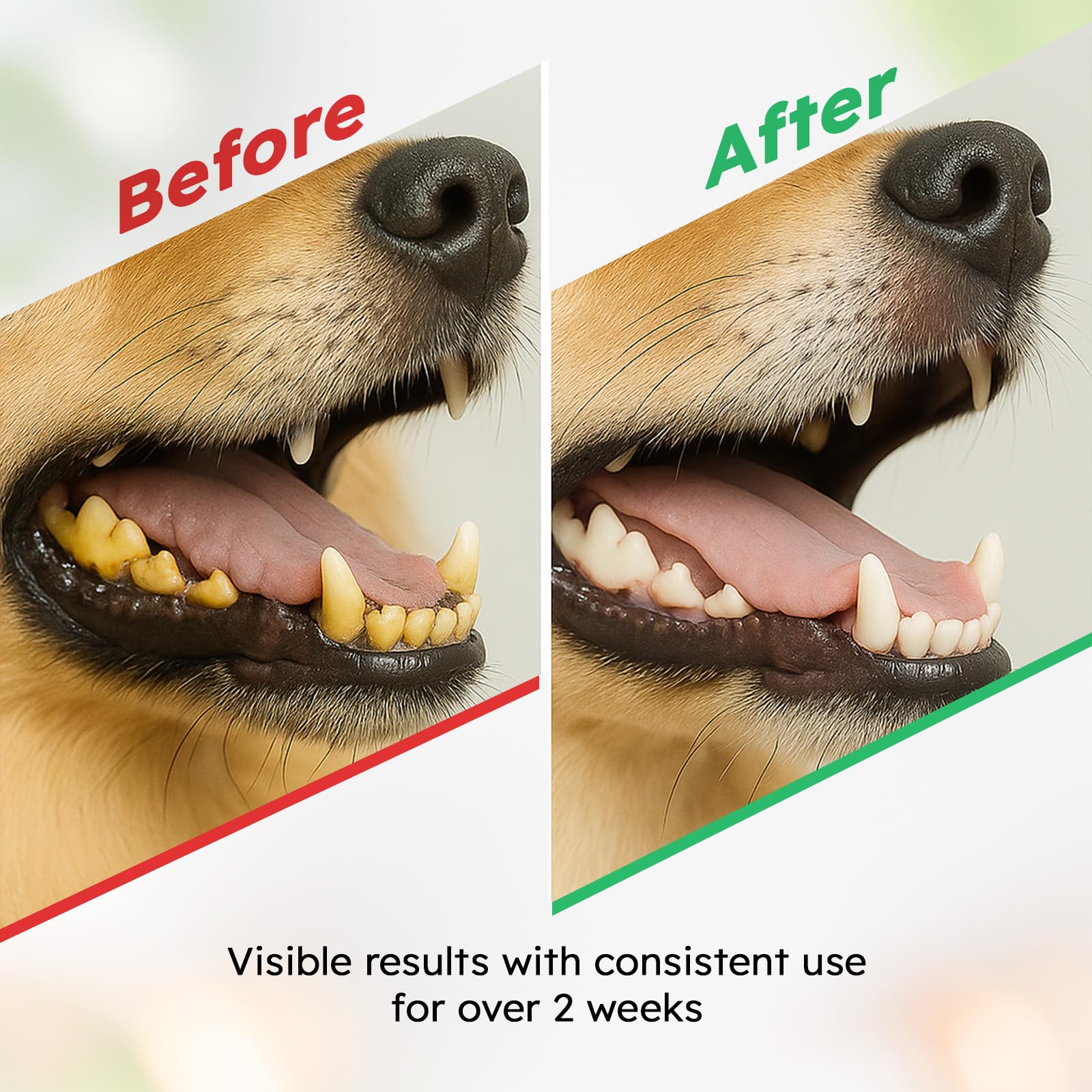 OKKÖBI easy-daily-use dog-food-dosing spoon visible for mess-free application.