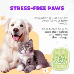OKKÖBI fast-acting chews begin calming within 30–45 minutes