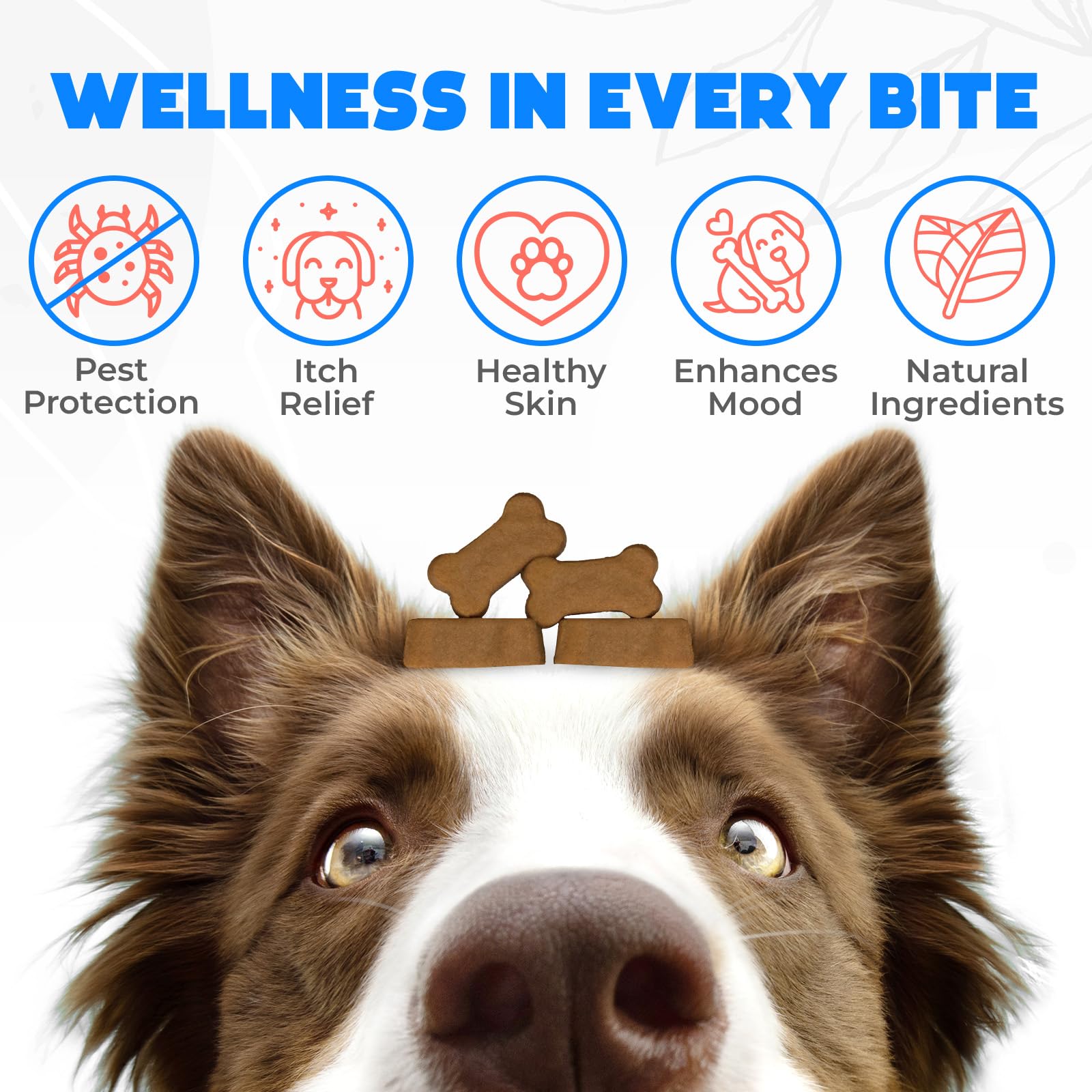 OKKOBI packaging closeup showing natural ingredients and vet-approved quality.