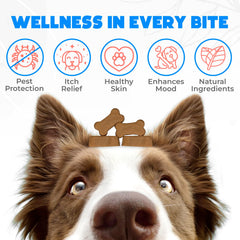 OKKOBI packaging closeup showing natural ingredients and vet-approved quality.