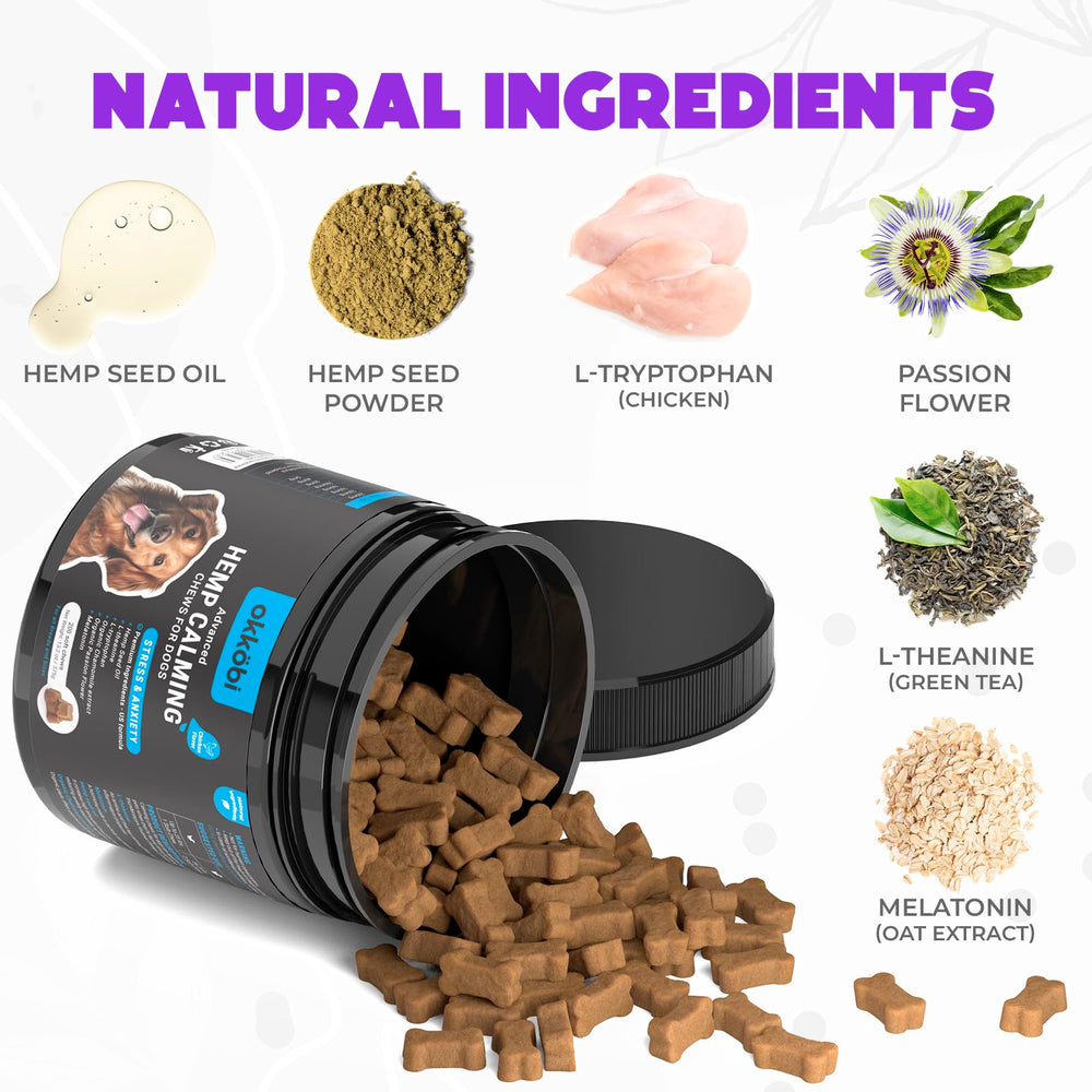 OKKÖBI Hemp Calming Chews during a storm scene helps dogs stay calm
