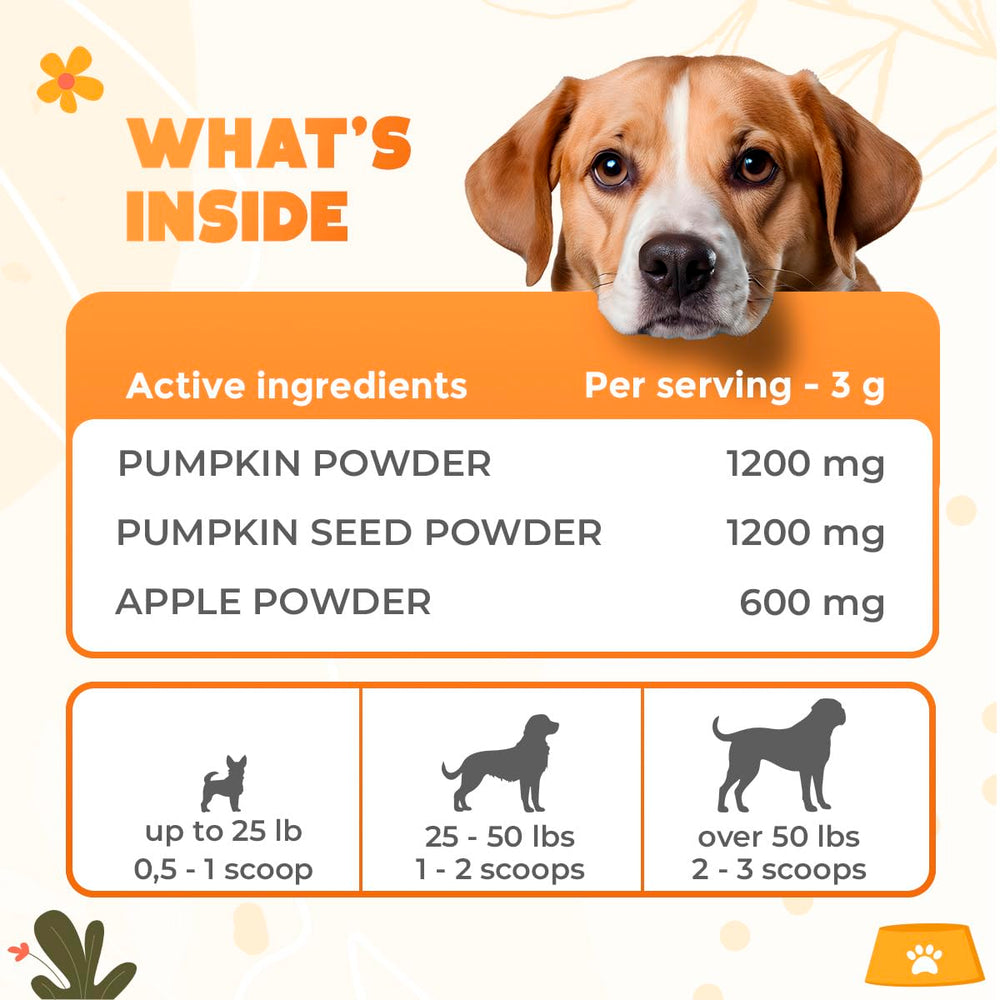 OKKÖBI pumpkin puree mixed with water for pet hydration and texture.