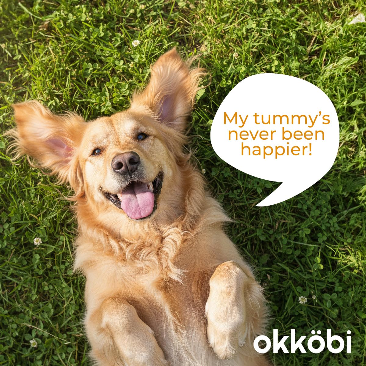OKKÖBI packaging with scoop demonstrating waste-free nutrition solution.