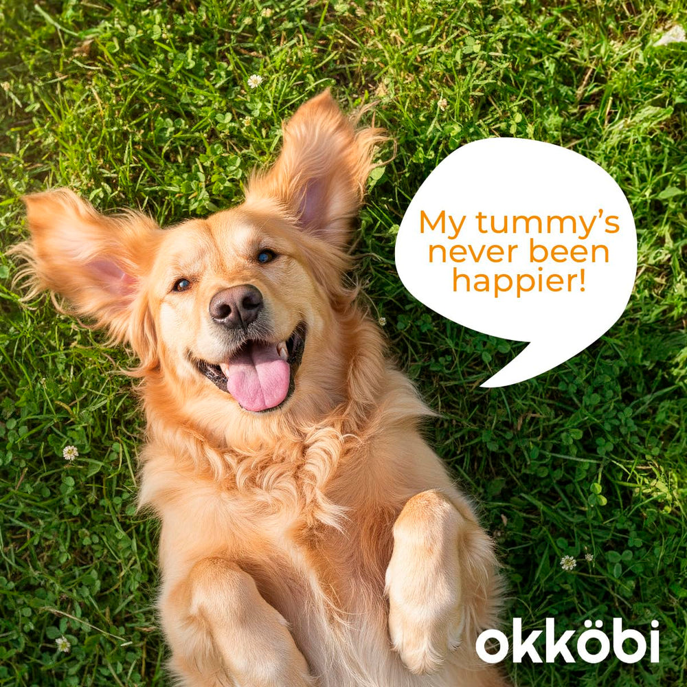 OKKÖBI packaging with scoop demonstrating waste-free nutrition solution.
