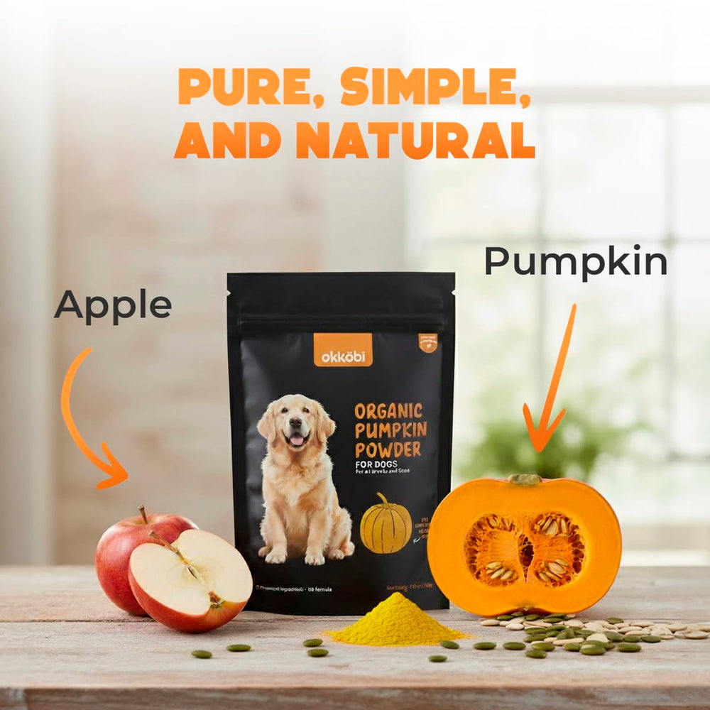 OKKÖBI pumpkin powder poured over dry pet food as a fiber boost.