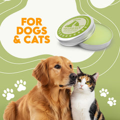 OKKÖBI paw-nose balm applied on dog and cat paws and noses.