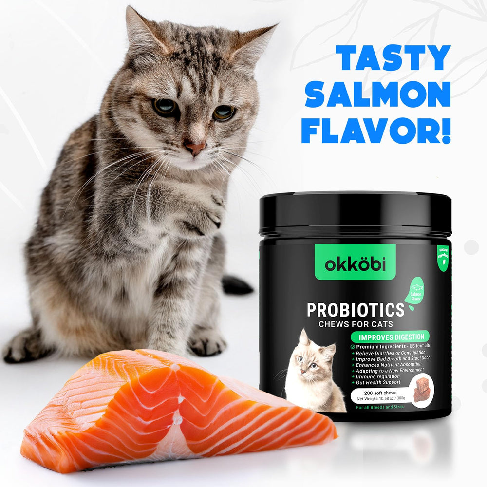 OKKÖBI Probiotics for Cats Chews cat enjoying treat conveys ease of use and daily routine.