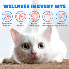 OKKÖBI Probiotics for Cats Chews delicious treat closeup promotes gut balance and palatability.
