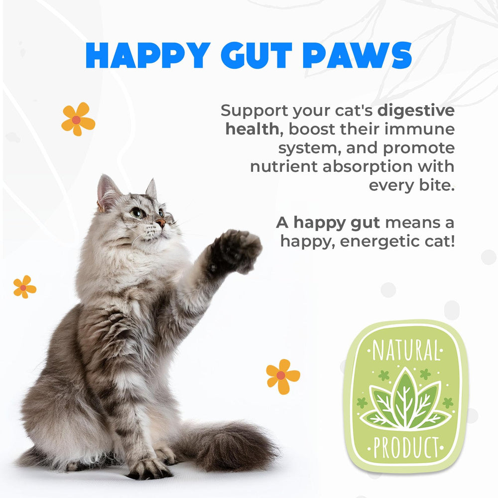 OKKÖBI Probiotics for Cats Chews pawpaw extract image emphasizes natural wellness and tummy comfort.