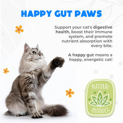 OKKÖBI Probiotics for Cats Chews pawpaw extract image emphasizes natural wellness and tummy comfort.
