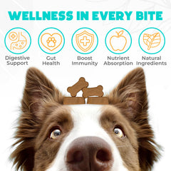 OKKÖBI chicken flavor dog chews attract dogs while supporting gut balance