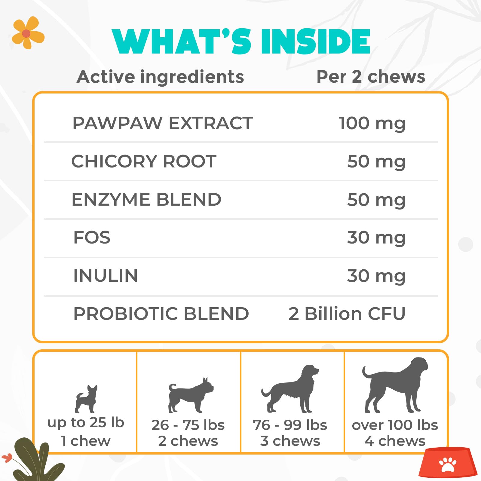 OKKÖBI enzyme and probiotic blend supports digestive processes