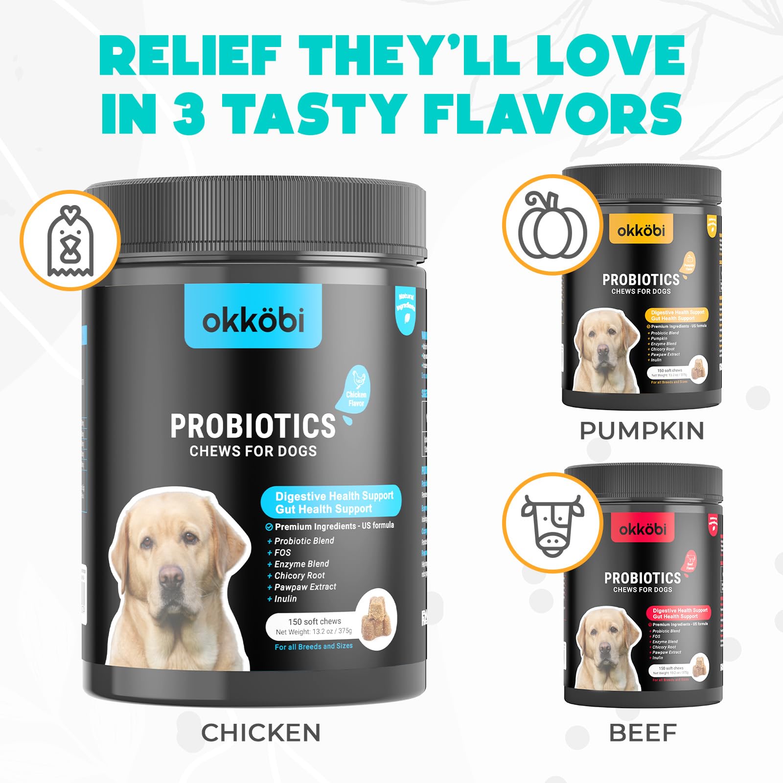 OKKÖBI gut health scene with dog enjoying chews for daily comfort