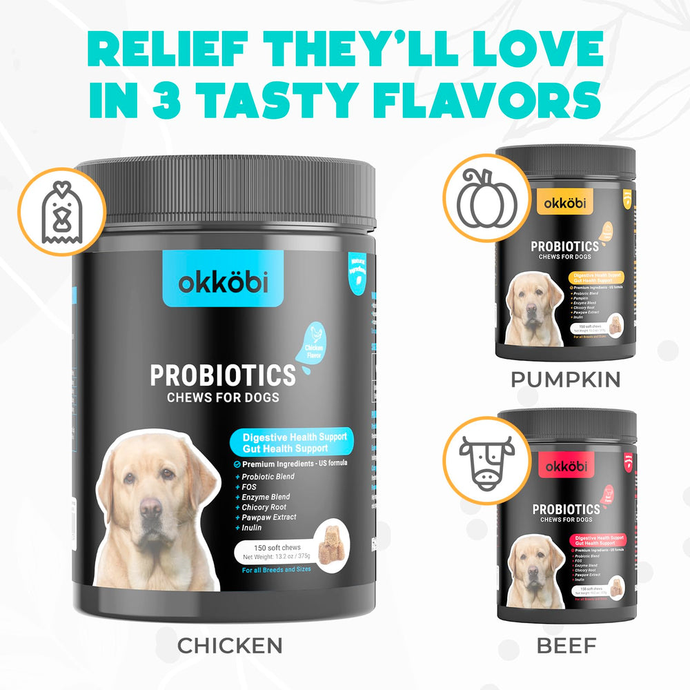 OKKÖBI gut health scene with dog enjoying chews for daily comfort
