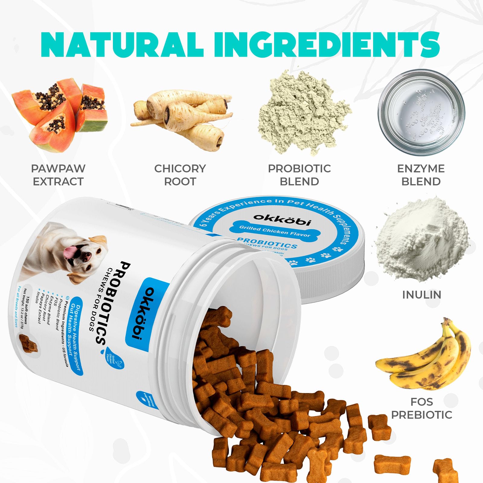OKKÖBI Probiotics for Dogs Chews beef flavor for tasty tummy support.
