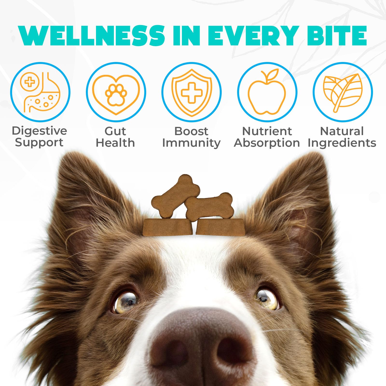 OKKÖBI Probiotics for Dogs Chews chicken flavor—dog-friendly gut health treat.