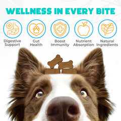 OKKÖBI Probiotics for Dogs Chews chicken flavor—dog-friendly gut health treat.