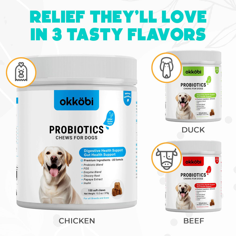 OKKÖBI Probiotics for Dogs Chews enzymes and probiotics blend for fast gut support.