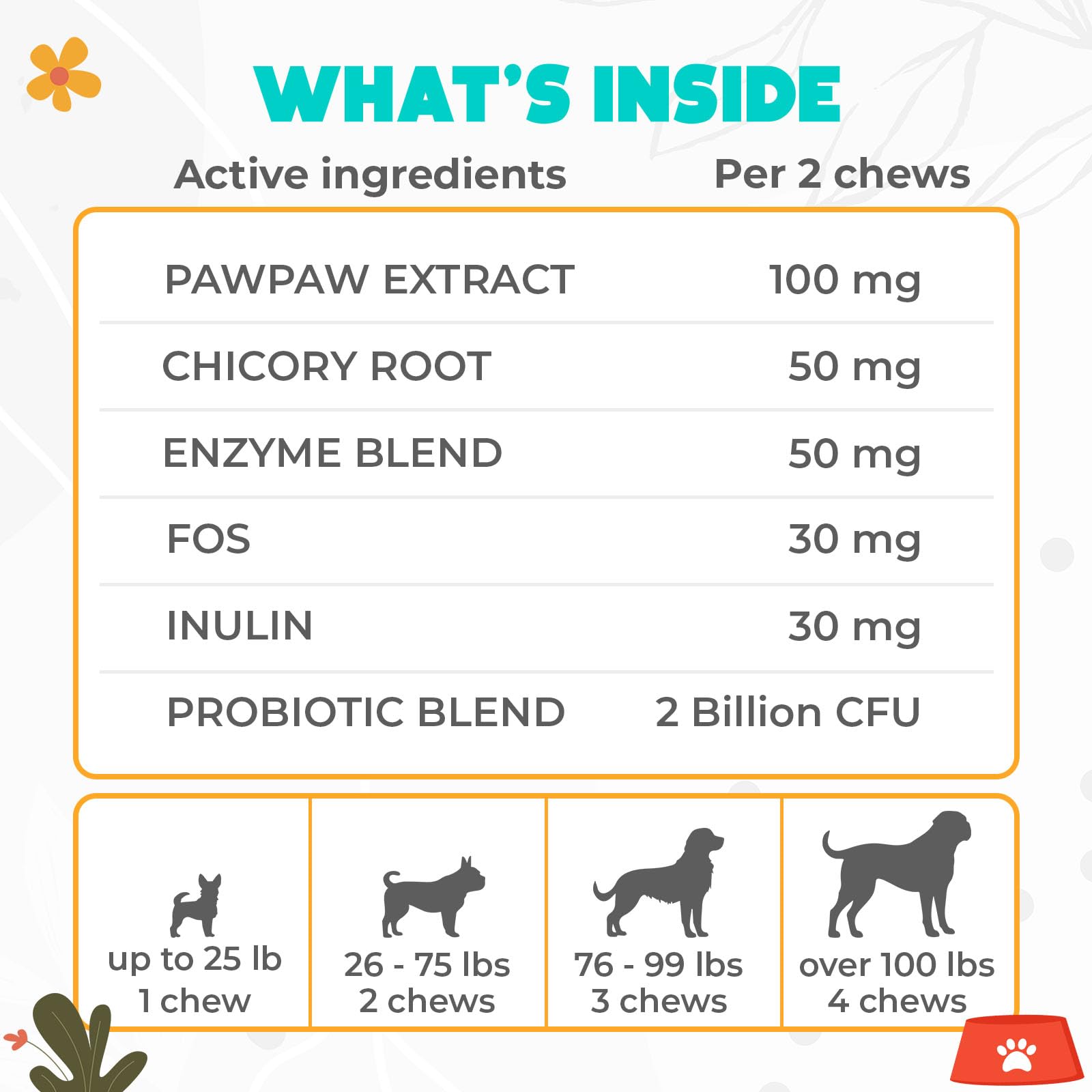 OKKÖBI Probiotics for Dogs Chews pawpaw extract and chicory fiber ingredients.