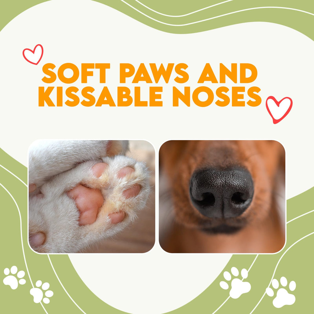 OKKÖBI unscented salve absorbs quickly without greasiness.