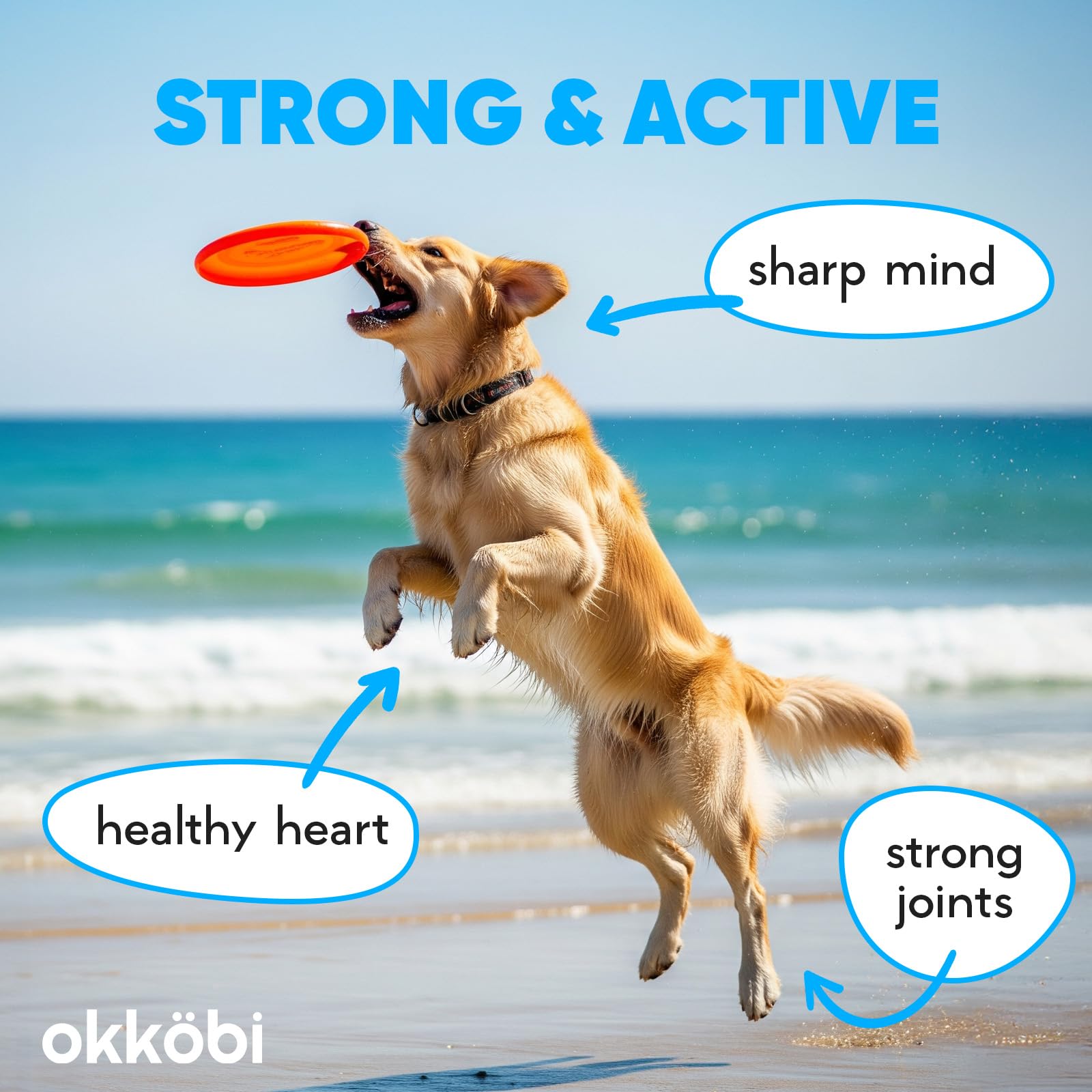 OKKÖBI Salmon Oil ideal for puppies, kittens, and seniors