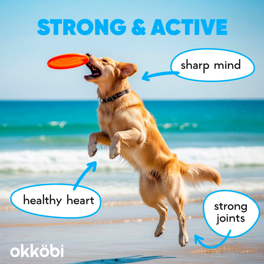 OKKÖBI Salmon Oil ideal for puppies, kittens, and seniors