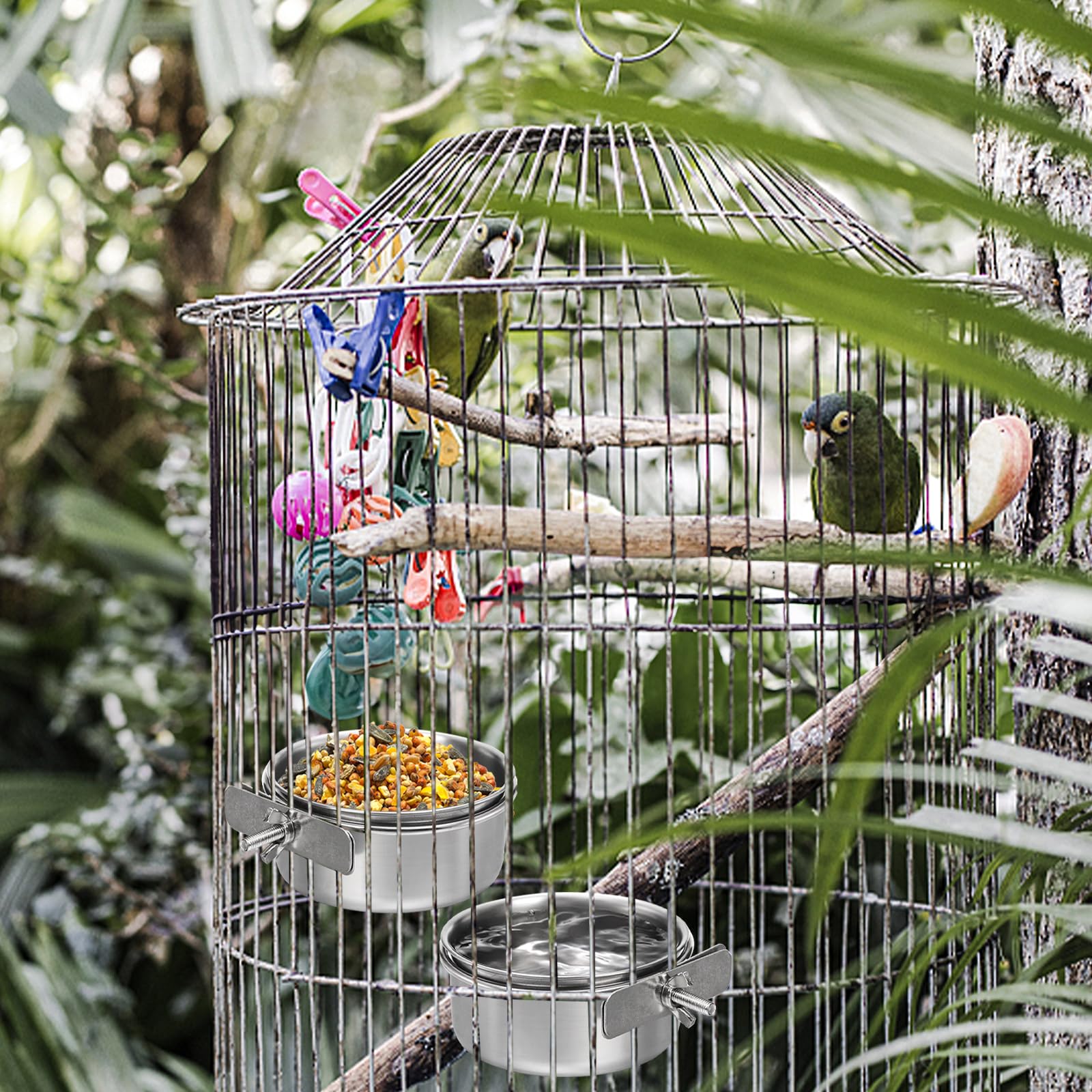 Okllen bird-dish-application-budgies-parrots-clip-on demonstrates convenient setup for multiple species.