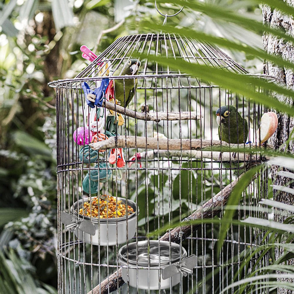 Okllen bird-dish-application-budgies-parrots-clip-on demonstrates convenient setup for multiple species.