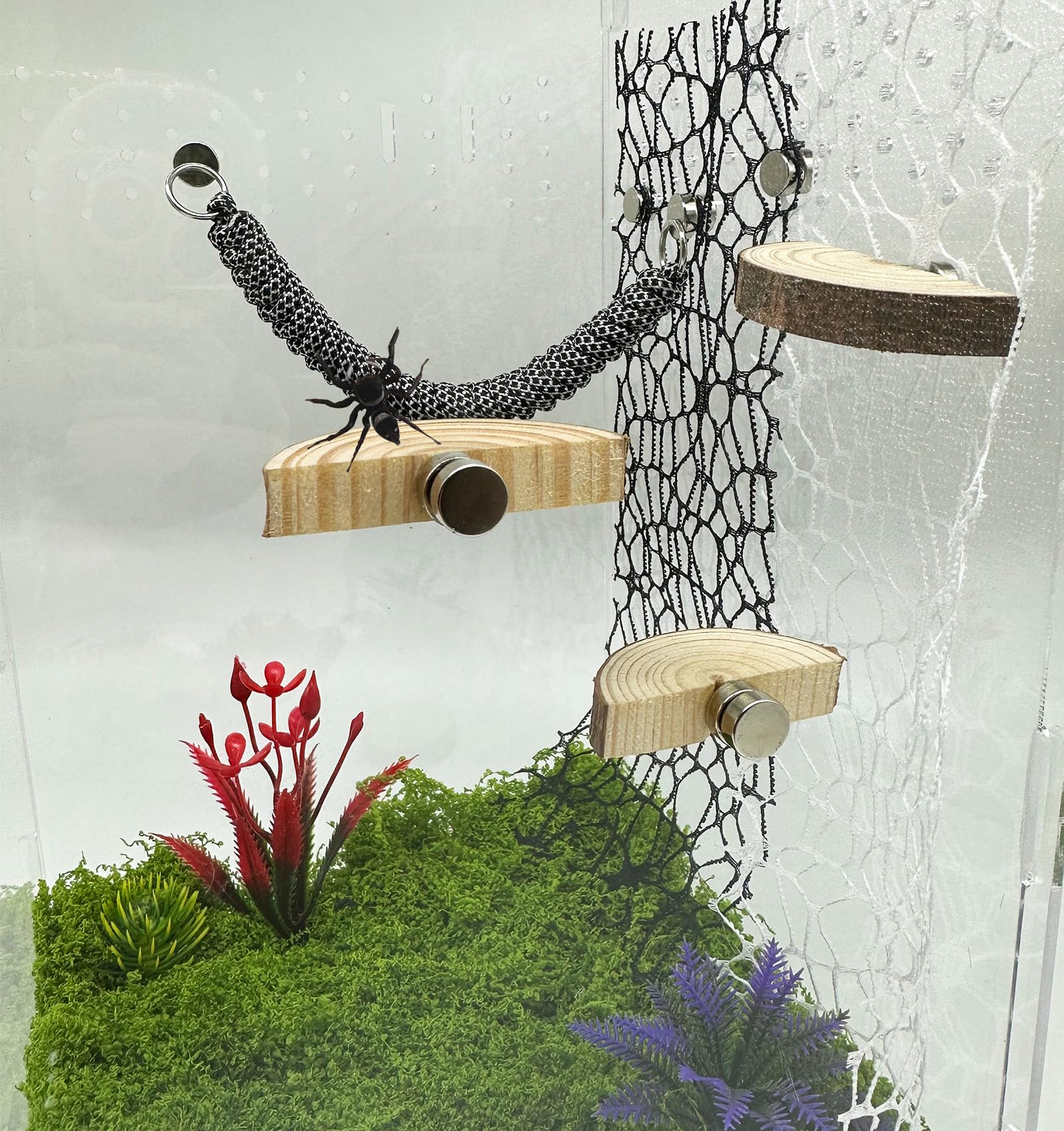 Okueejur arboreal pets ledge height variety encourages exploration and climbing.