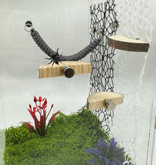 Okueejur arboreal pets ledge height variety encourages exploration and climbing.