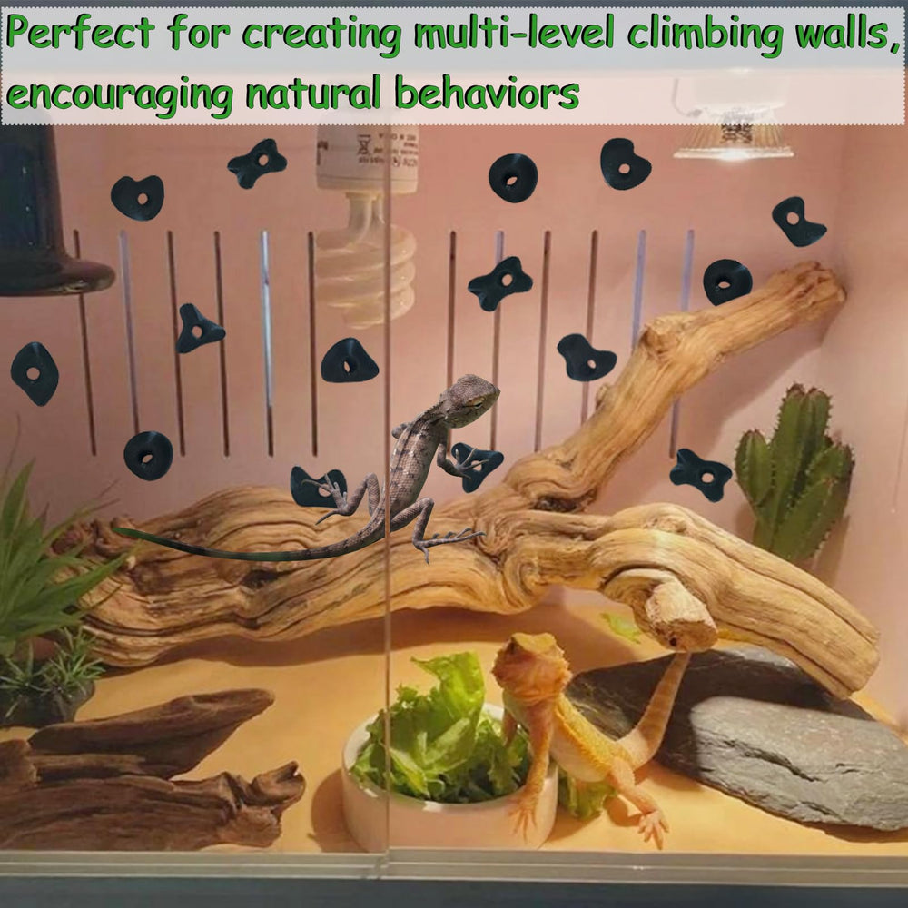 Okueejur bearded dragon wall holds installation demo highlights sturdy, secure grip.
