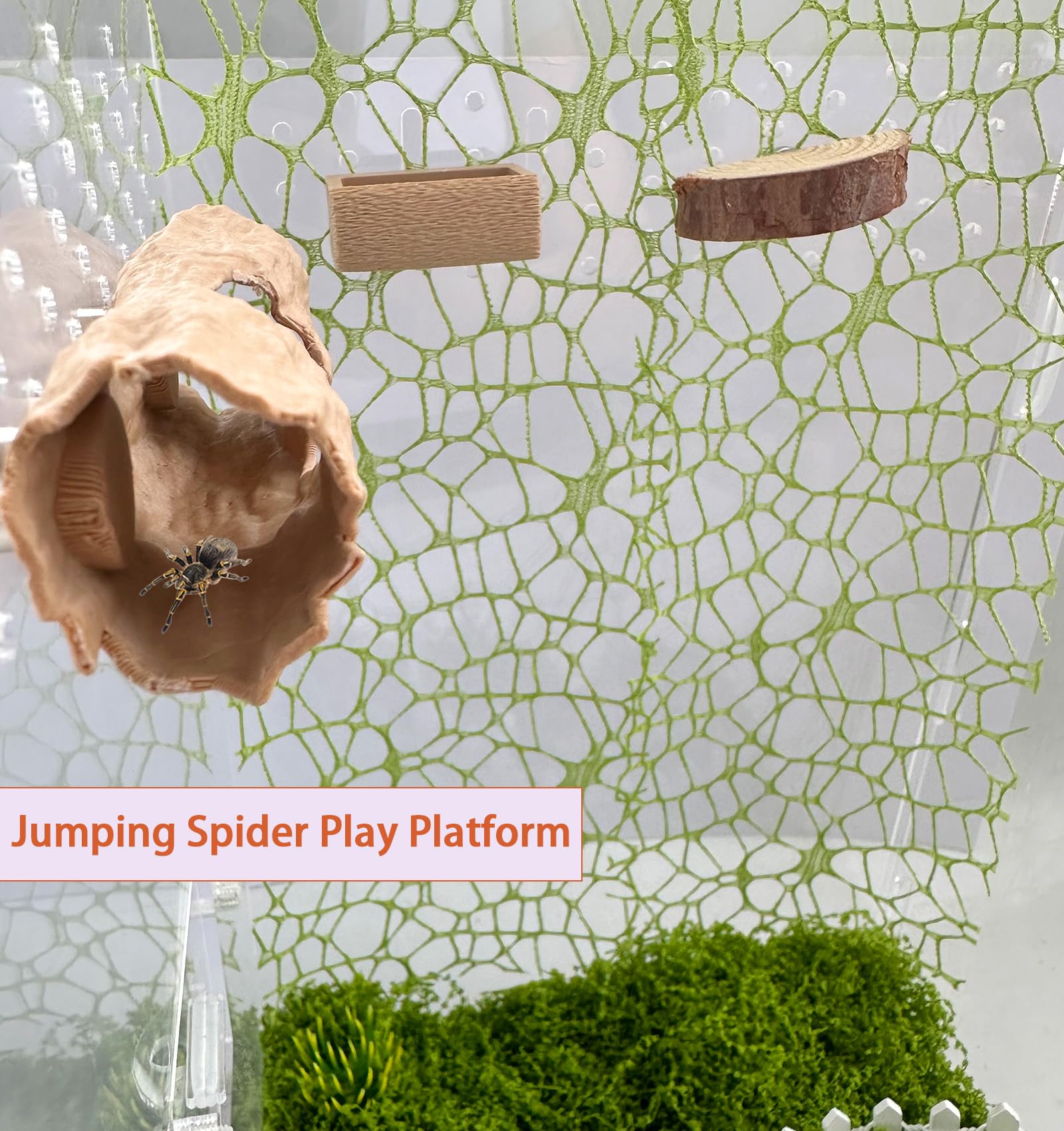 Okueejur green moss ribbons add natural texture and hiding niches.
