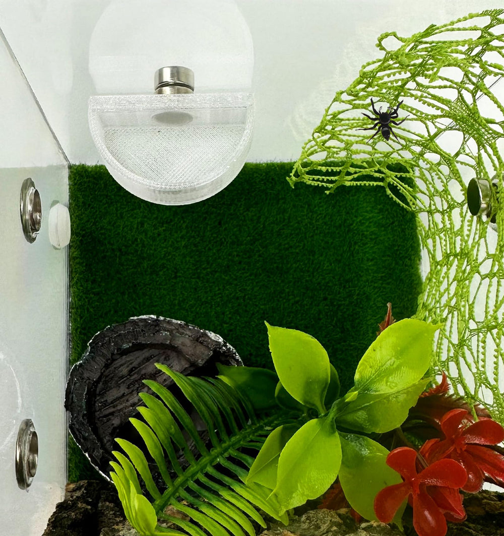 Okueejur half-round dish design fits small enclosures.