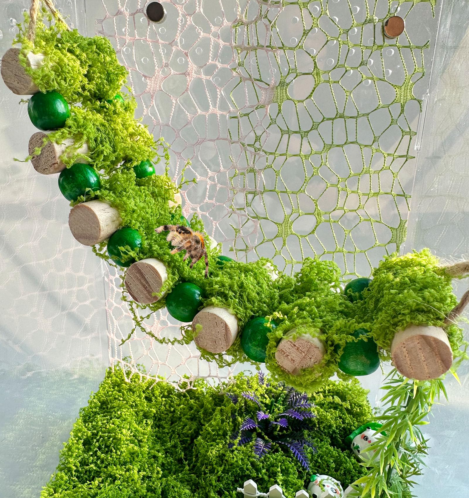 Okueejur Jumping Spider Bridge ready to install inside enclosures.