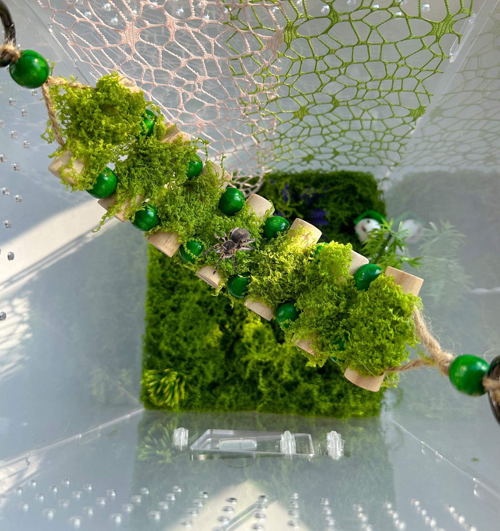 Okueejur Jumping Spider Bridge handcrafted with artisanal charm.