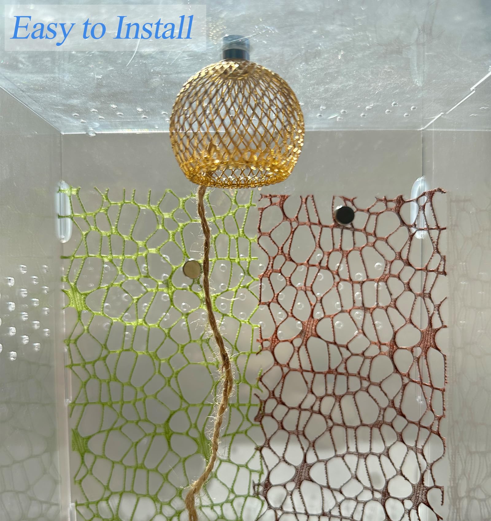 Okueejur enclosure kit with accessories enriches habitat and encourages exploration.