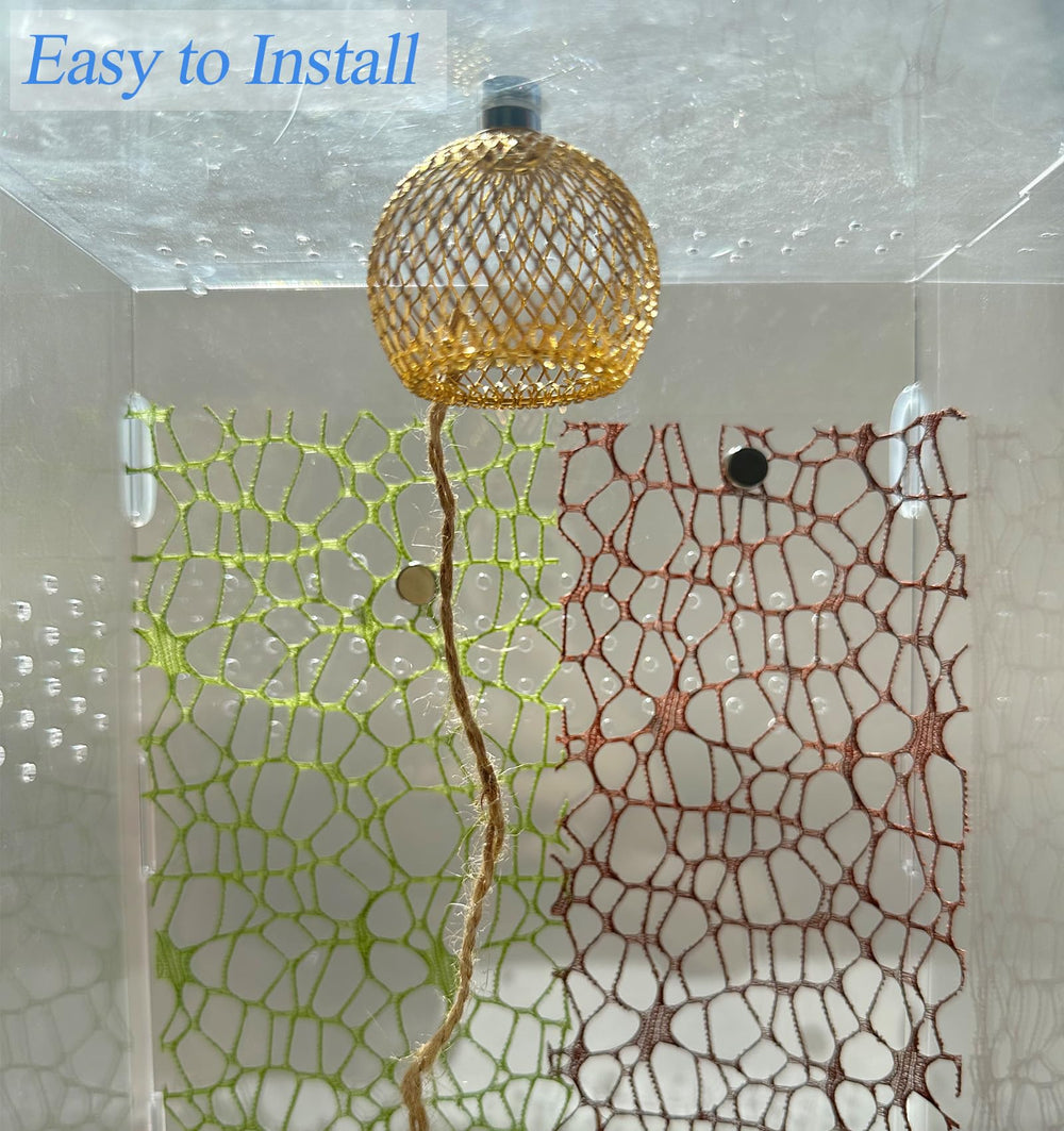 Okueejur enclosure kit with accessories enriches habitat and encourages exploration.