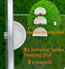 Okueejur jumping spider feeding dish magnet attachment for stable placement.
