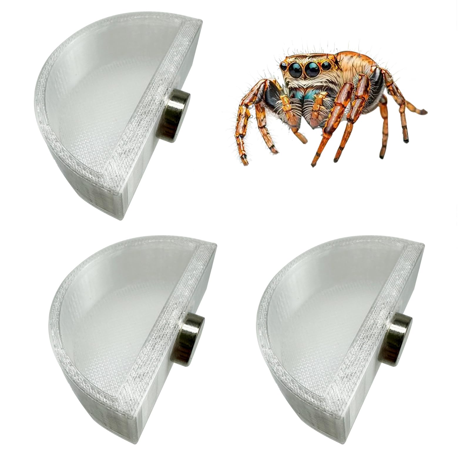 Okueejur jumping spider feeding dish setup with secure mounting.