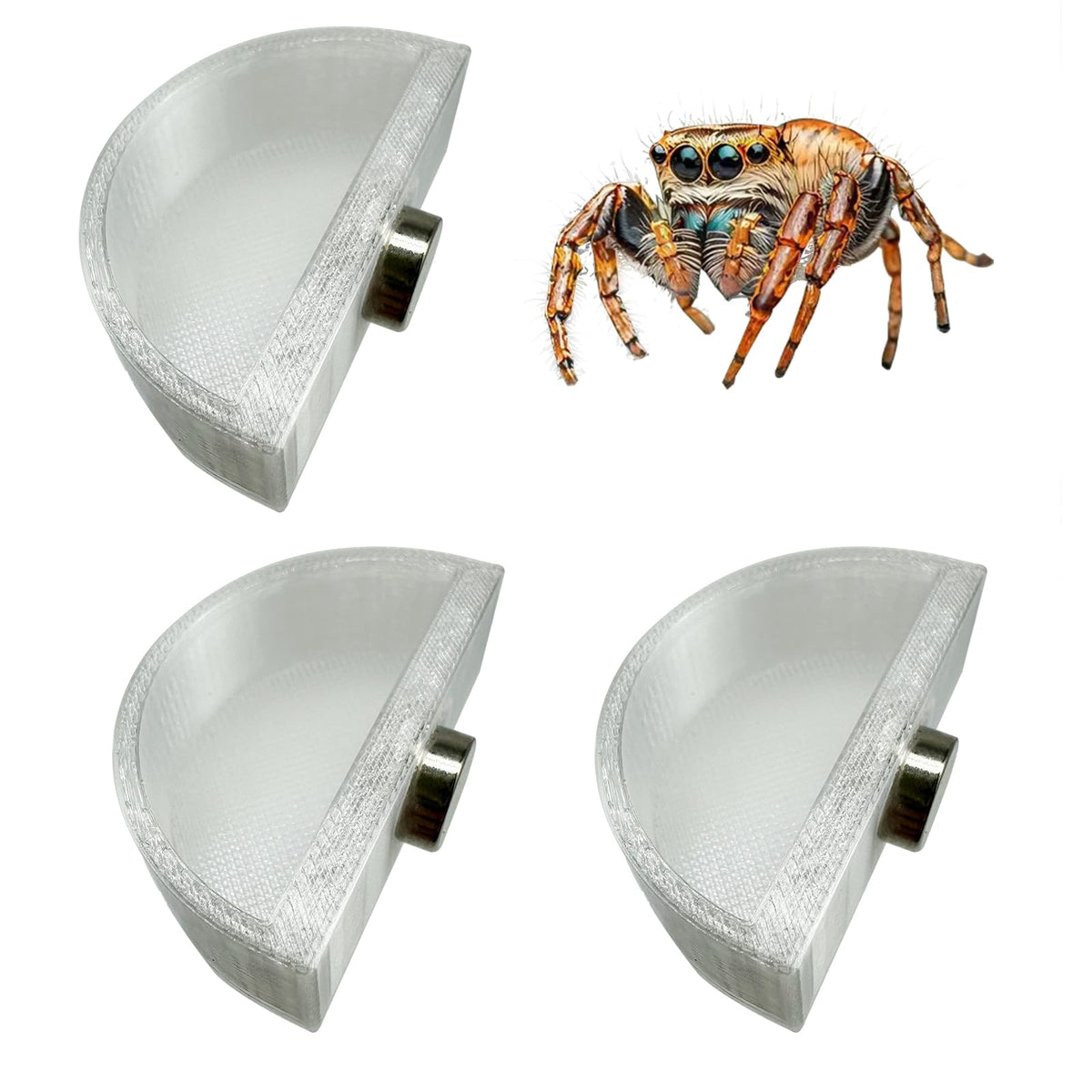 Okueejur jumping spider feeding dish setup with secure mounting.